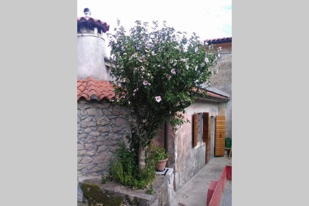 Vacation Home Marinici Mošćenička Draga Extérieur photo